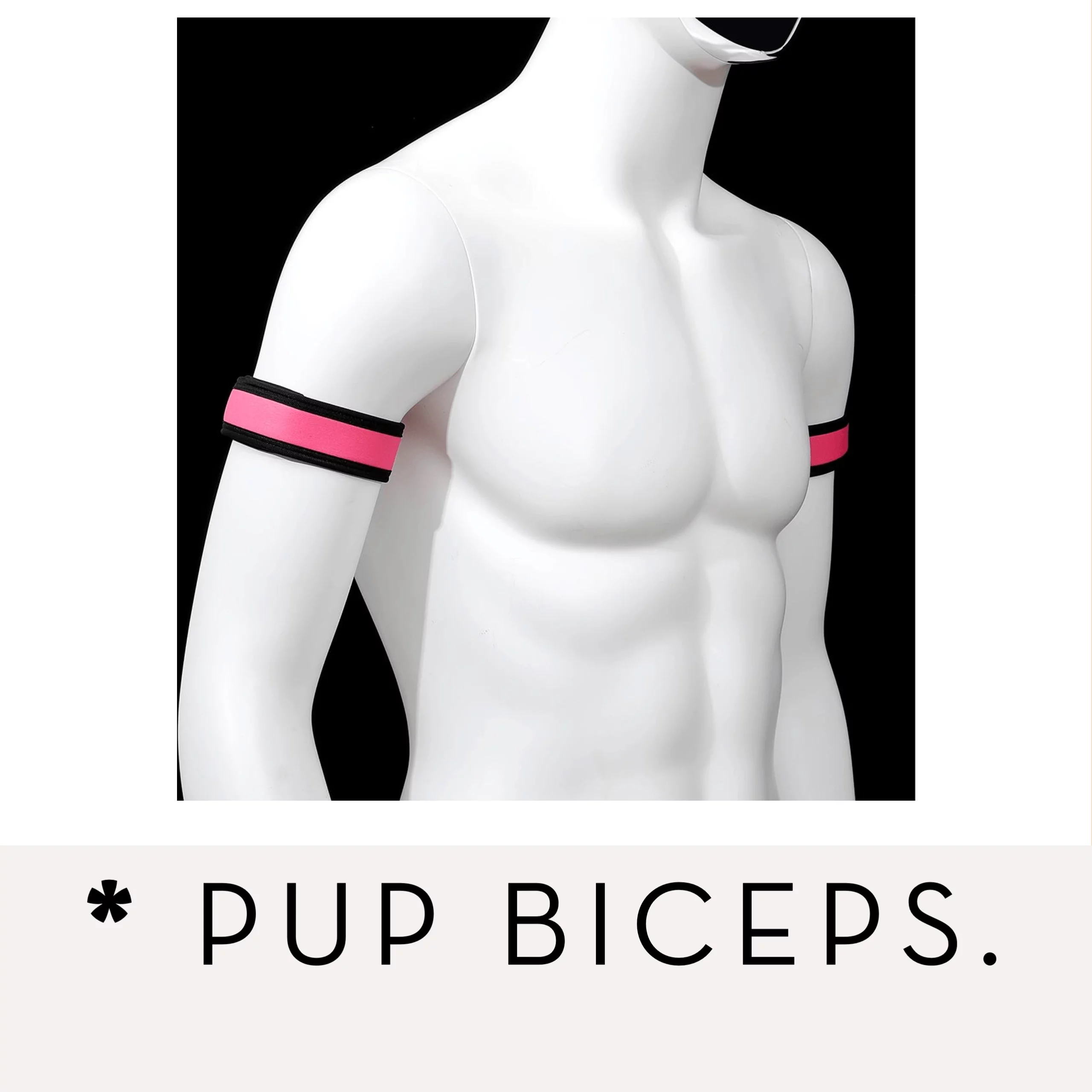 Banoch Banner categorie pup biceps
