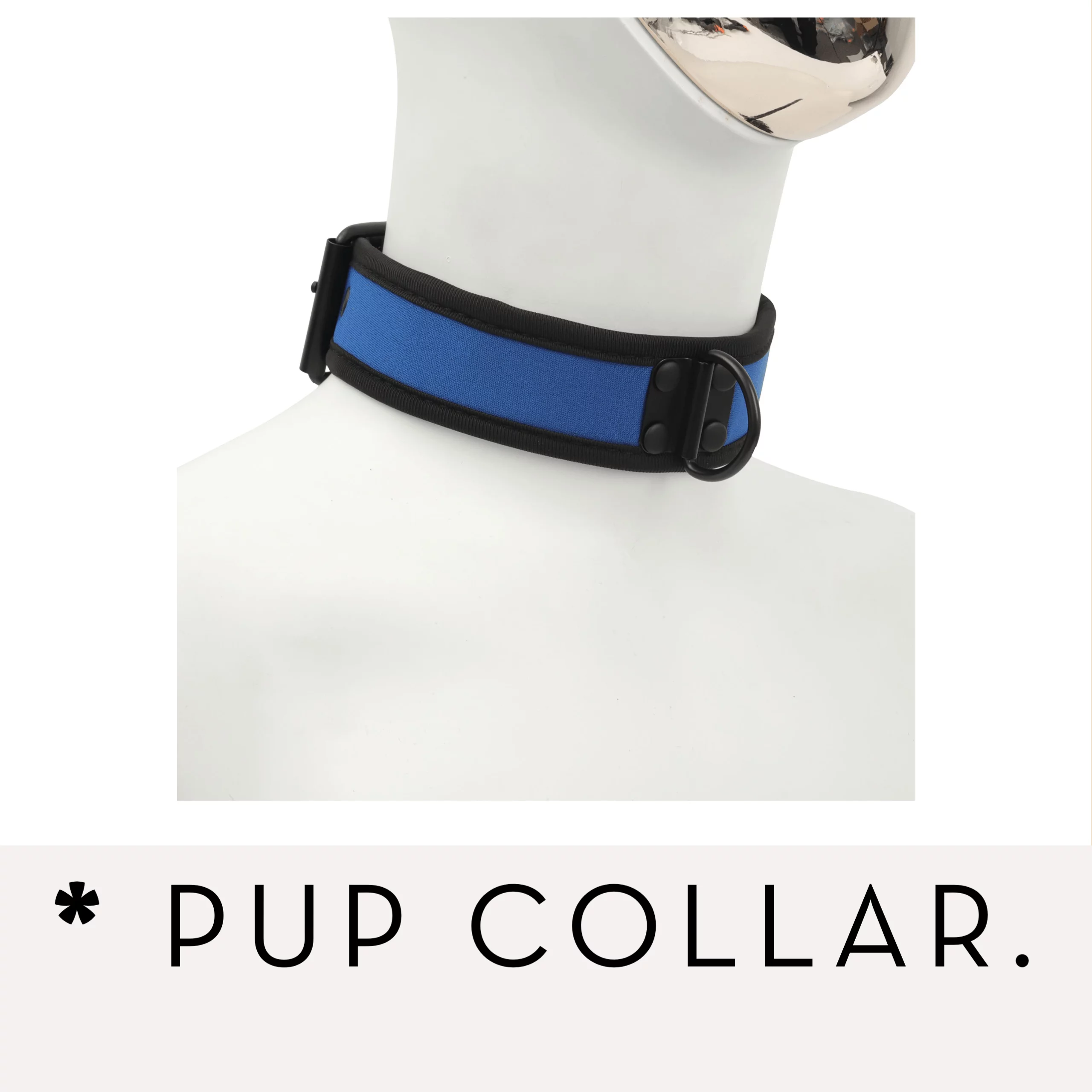 Banoch Banner categorie pup collar