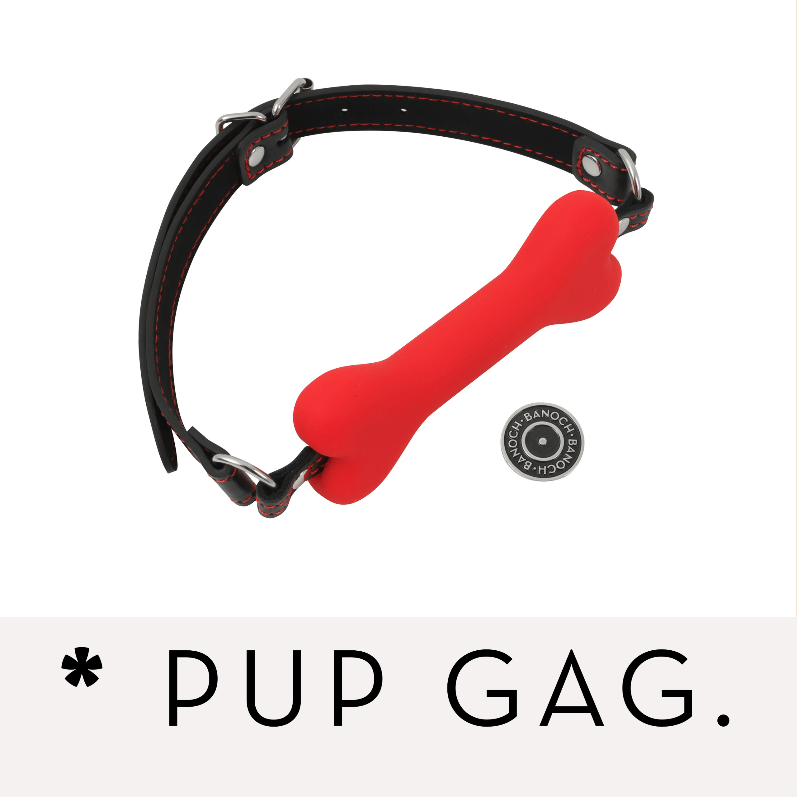 Banoch Banner categorie pup gag 1