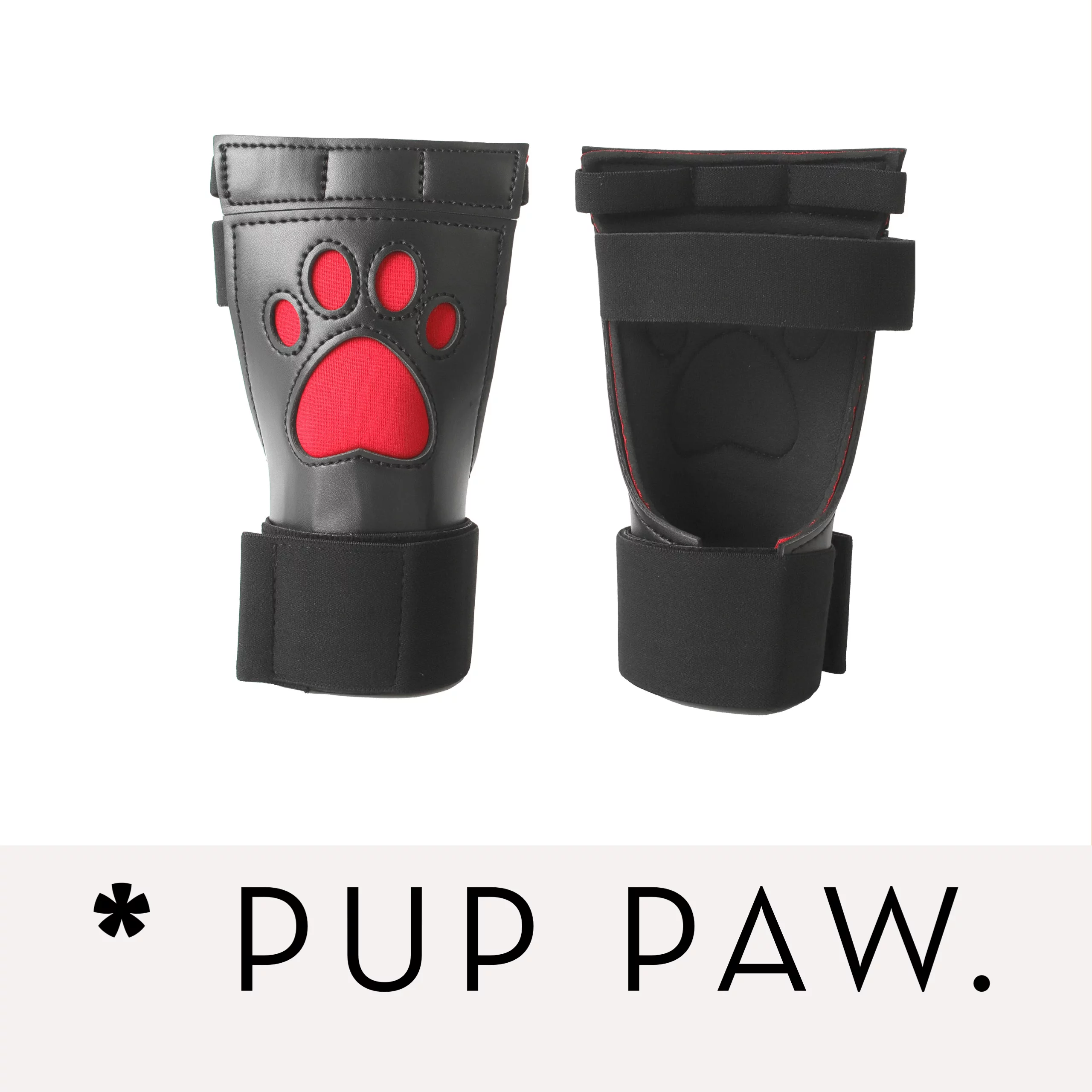 Banoch Banner categorie pup paw