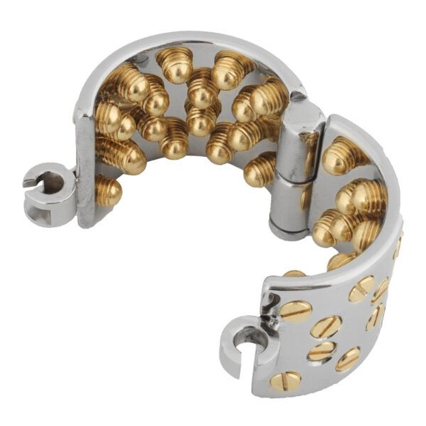 Banoch Kalis teeth gold indraaibaar met slot CBT 2 scaled