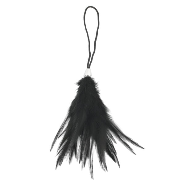Banoch Tantra long feather black streel veer zwart 1 scaled Banoch Tantra long feather black streel veer zwart 1 scaled