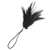 Banoch Tantra long feather black streel veer zwart 2 scaled Banoch Tantra long feather black streel veer zwart 2 scaled