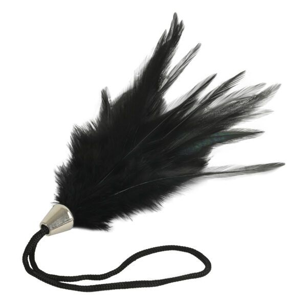 Banoch Tantra long feather black streel veer zwart 3 scaled Banoch Tantra long feather black streel veer zwart 3 scaled