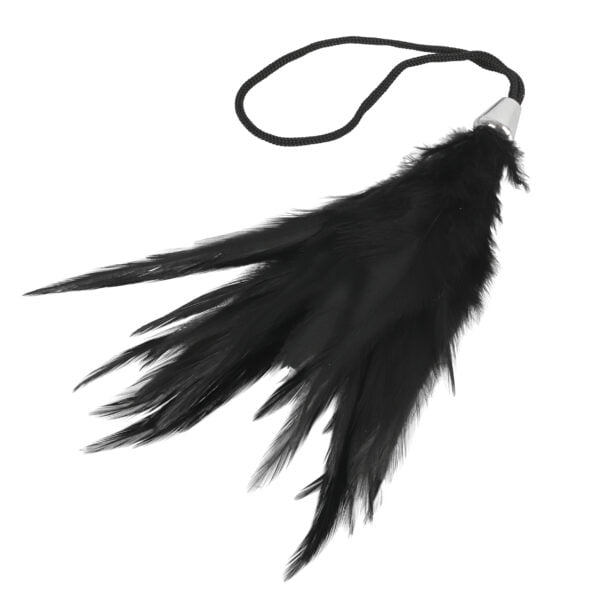 Banoch Tantra long feather black streel veer zwart 5 scaled Banoch Tantra long feather black streel veer zwart 5 scaled