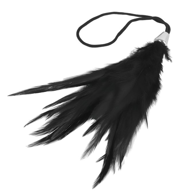 Banoch Tantra long feather black streel veer zwart 5 scaled Banoch Tantra long feather black streel veer zwart 5 scaled