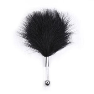 Banoch tantra black feather with clear handle 1