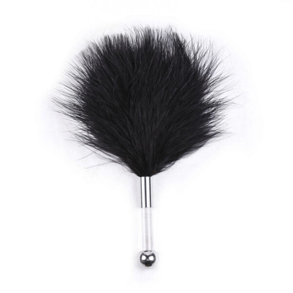 Banoch tantra black feather with clear handle 1 Banoch tantra black feather with clear handle 1