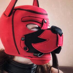 Banoch human puppy play model Darvinetta wearing red neoprene puppy hood with leash in her mouth scaled