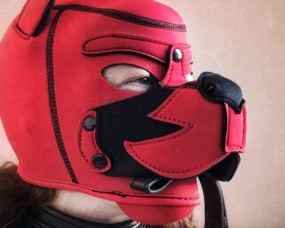 Banoch human puppy play model Darvinetta wearing red neoprene puppy hood with leash in her mouth scaled