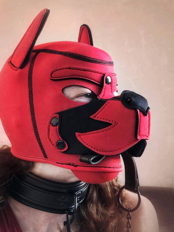 Banoch human puppy play model Darvinetta wearing red neoprene puppy hood with leash in her mouth scaled