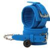 Banoch Handboeien blauw gevoerd imitatie leer 987102001 1 scaled Banoch Handboeien blauw gevoerd imitatie leer 987102001 1 scaled