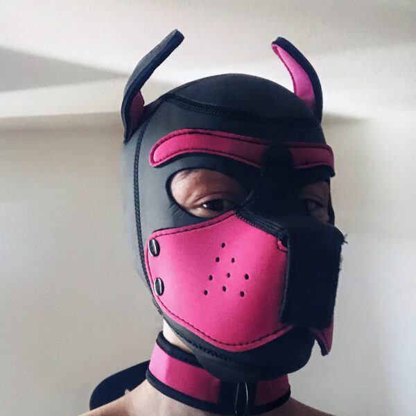 pup play hood roze Banoch X Darvinetta pup play hood roze Banoch X Darvinetta