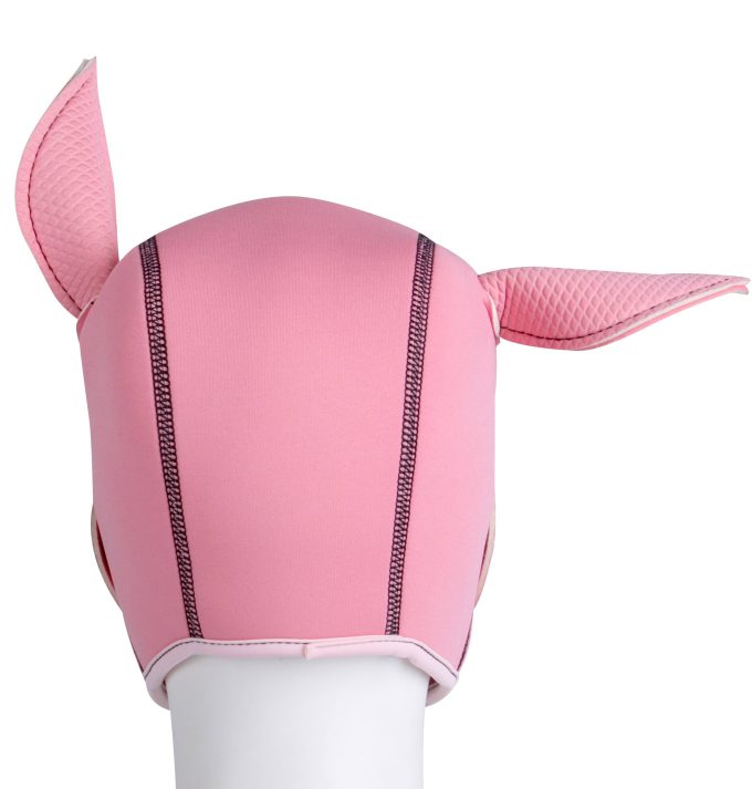 Banoch Masker Le Pig neopreen varkensmasker BDSM 3 scaled