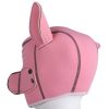 Banoch Masker Le Pig neopreen varkensmasker BDSM 4 scaled