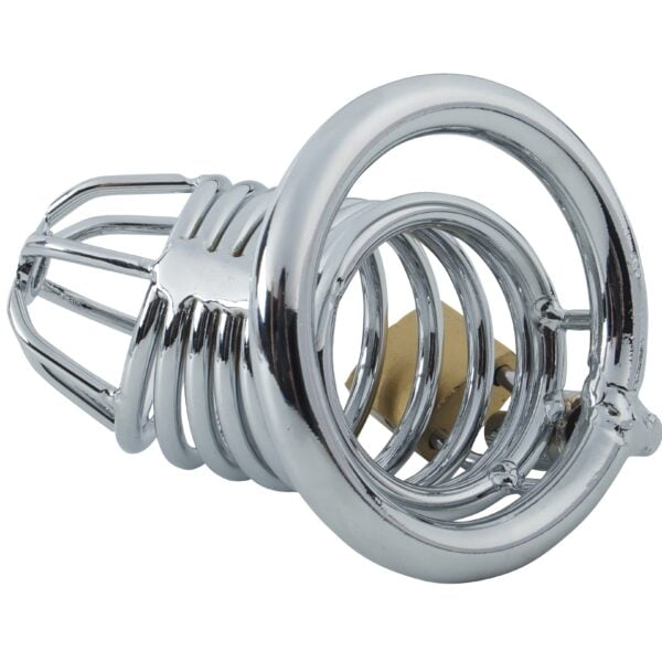 Banoch Cockcage Zilver metaal Chastity Cage met 3 ringen 40 mm, 45 mm & 50 mm (11)