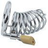 Banoch Cockcage Zilver metaal Chastity Cage met 3 ringen 40 mm, 45 mm & 50 mm (8) Banoch Cockcage Zilver metaal Chastity Cage met 3 ringen 40 mm, 45 mm & 50 mm (8)