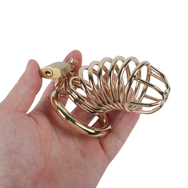 Banoch Cockcage Goud metaal Chastity Cage met 3 ringen 40 mm, 45 mm & 50 mm (11)