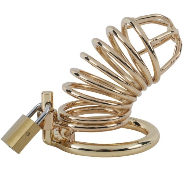 Banoch Cockcage Goud metaal Chastity Cage met 3 ringen 40 mm, 45 mm & 50 mm (3)