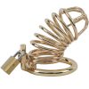 Banoch Cockcage Goud metaal Chastity Cage met 3 ringen 40 mm, 45 mm & 50 mm (3) Banoch Cockcage Goud metaal Chastity Cage met 3 ringen 40 mm, 45 mm & 50 mm (3)