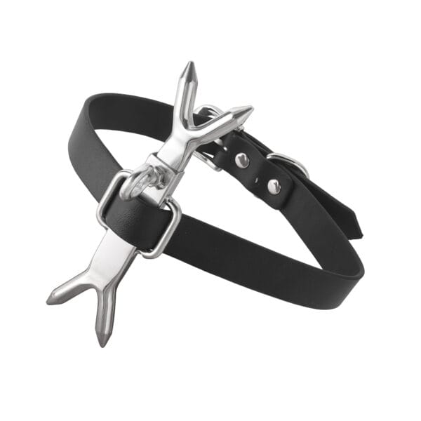 Banoch Heads up verstelbare collar met pin (5) Banoch Heads up verstelbare collar met pin (5)