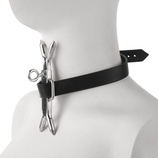 Banoch Heads up verstelbare collar met pin (8) Banoch Heads up verstelbare collar met pin (8)