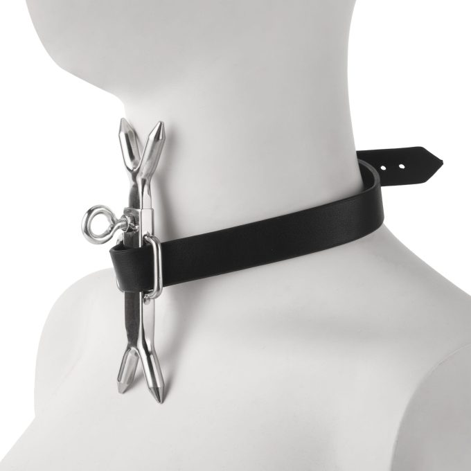 Banoch Heads up verstelbare collar met pin (8)